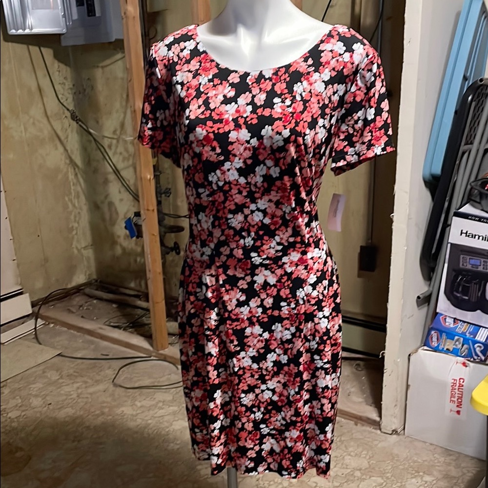 Roz & Ali Red and Black Scoop Neck Sleeveless Mini Dress